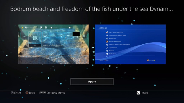 Minefield – Bodrum Beach & Freedom of the Fish – Dynamic
